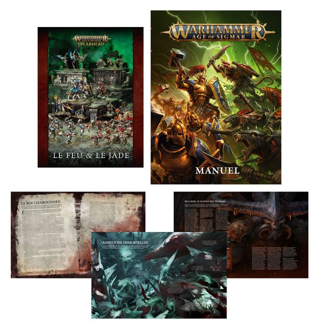 Warhammer Age of Sigmar: Set d'Initiation Fer de Lance - view 28