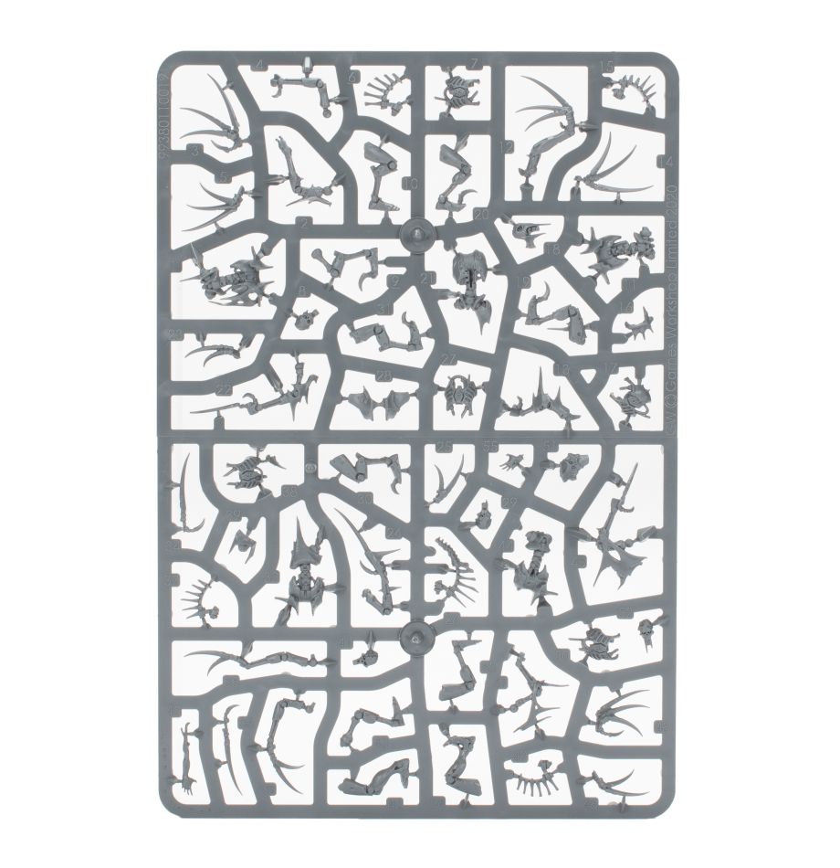 Flayed Ones – obsah sady