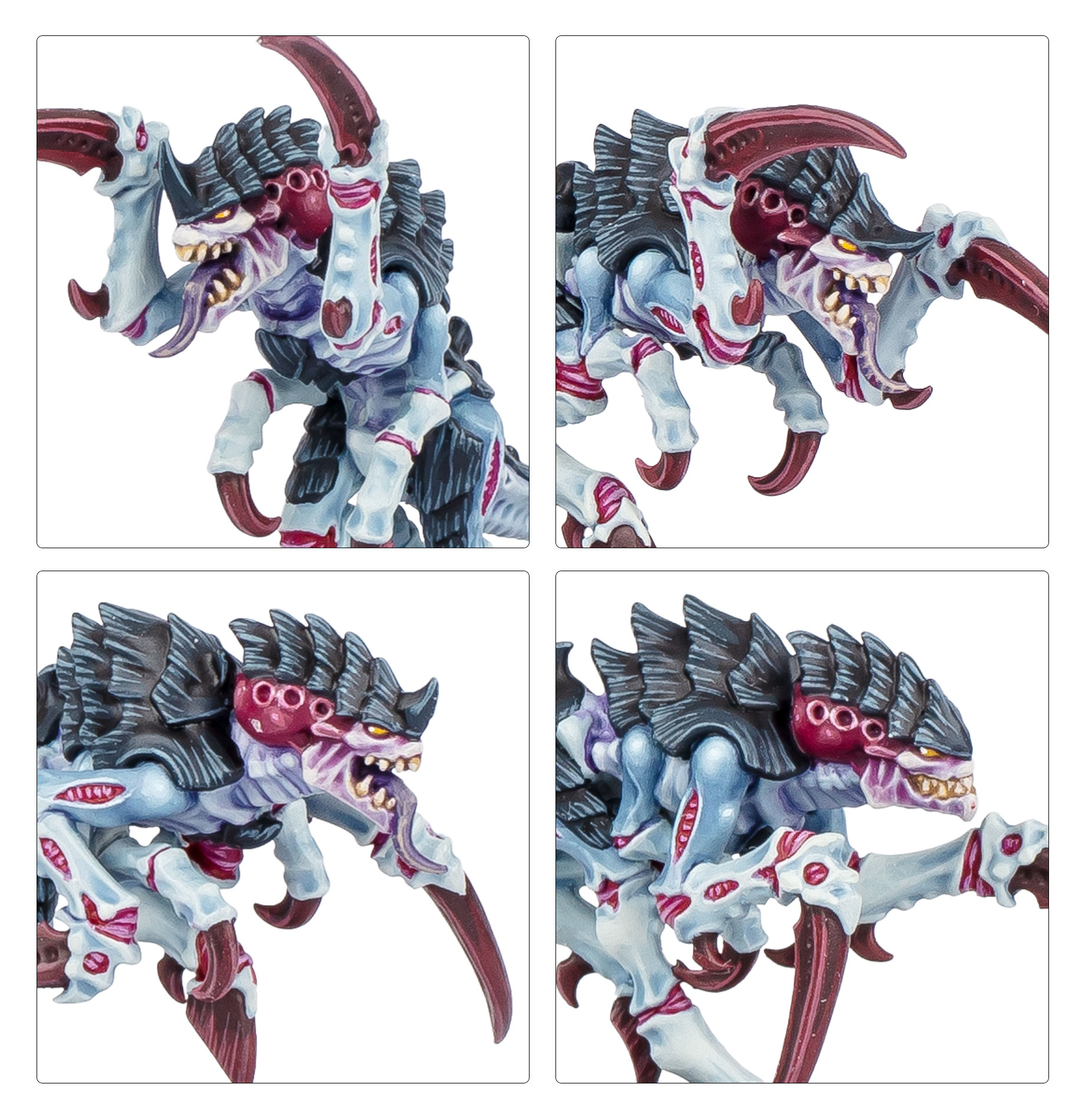 Kill Team: Typhon (Japanese)
