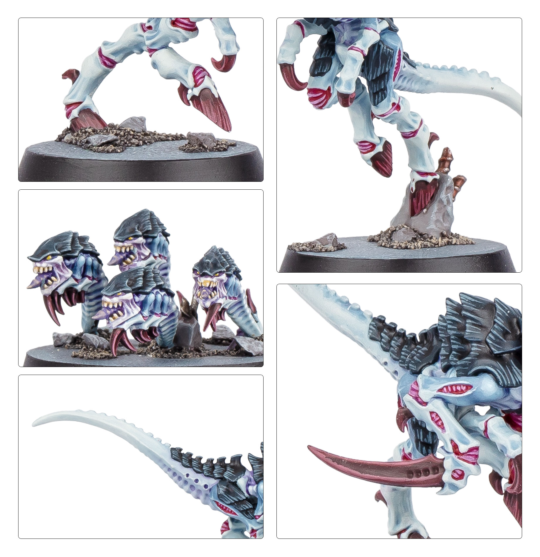 Kill Team: Typhon (English)