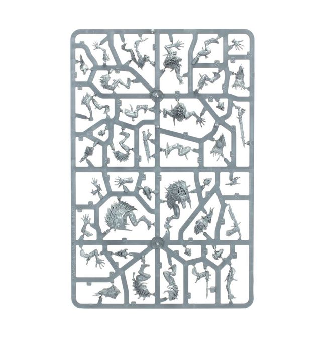 Warcry: Royal Beastflayers - view 15