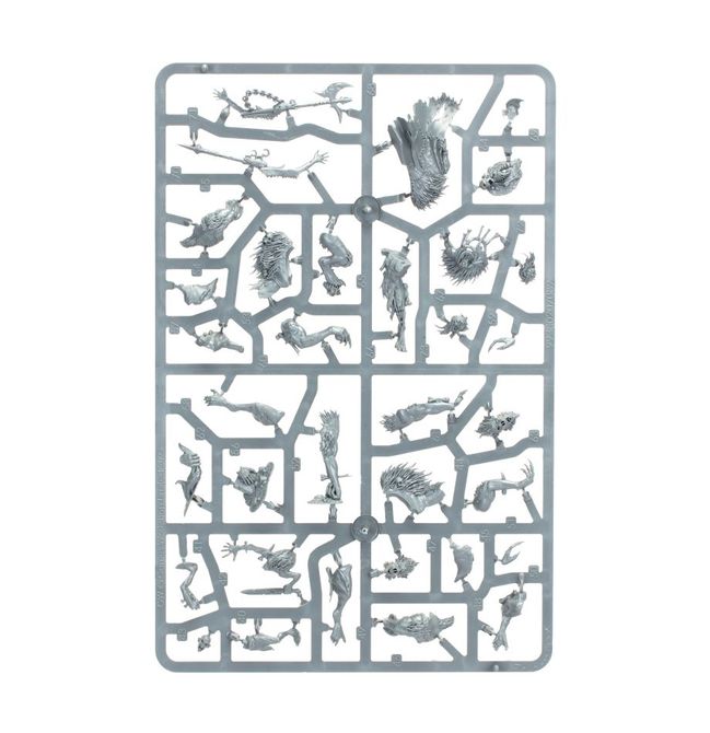 Warcry: Royal Beastflayers - view 16