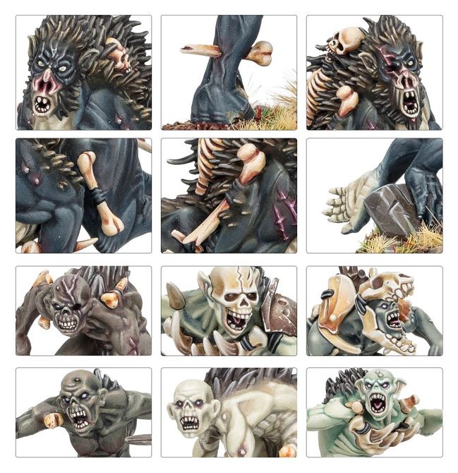 Warcry: Royal Beastflayers - view 13