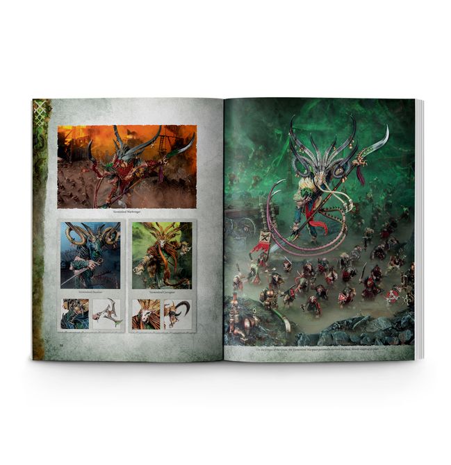 Chaos Battletome: Skaven - view 3
