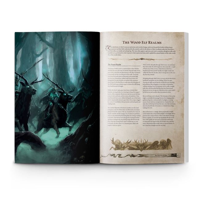 Warhammer: the Old World – Forces of Fantasy - view 3