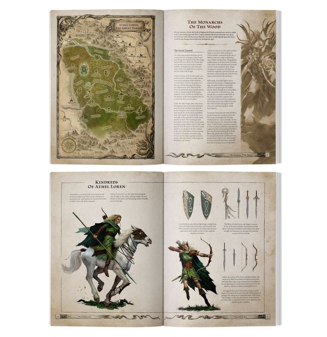 Arcane Journal: Wood Elf Realms - view 2
