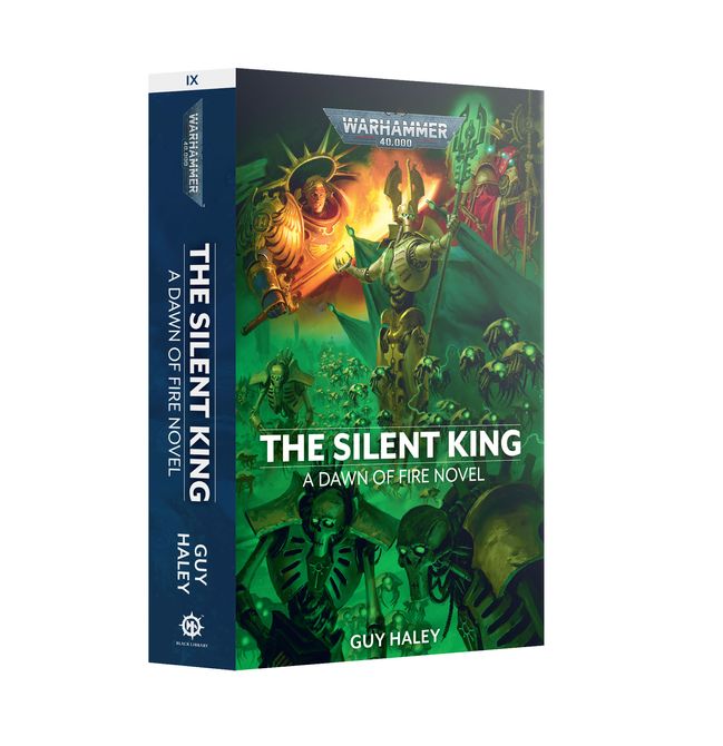 Dawn of Fire: The Silent King (Paperback) - view 1