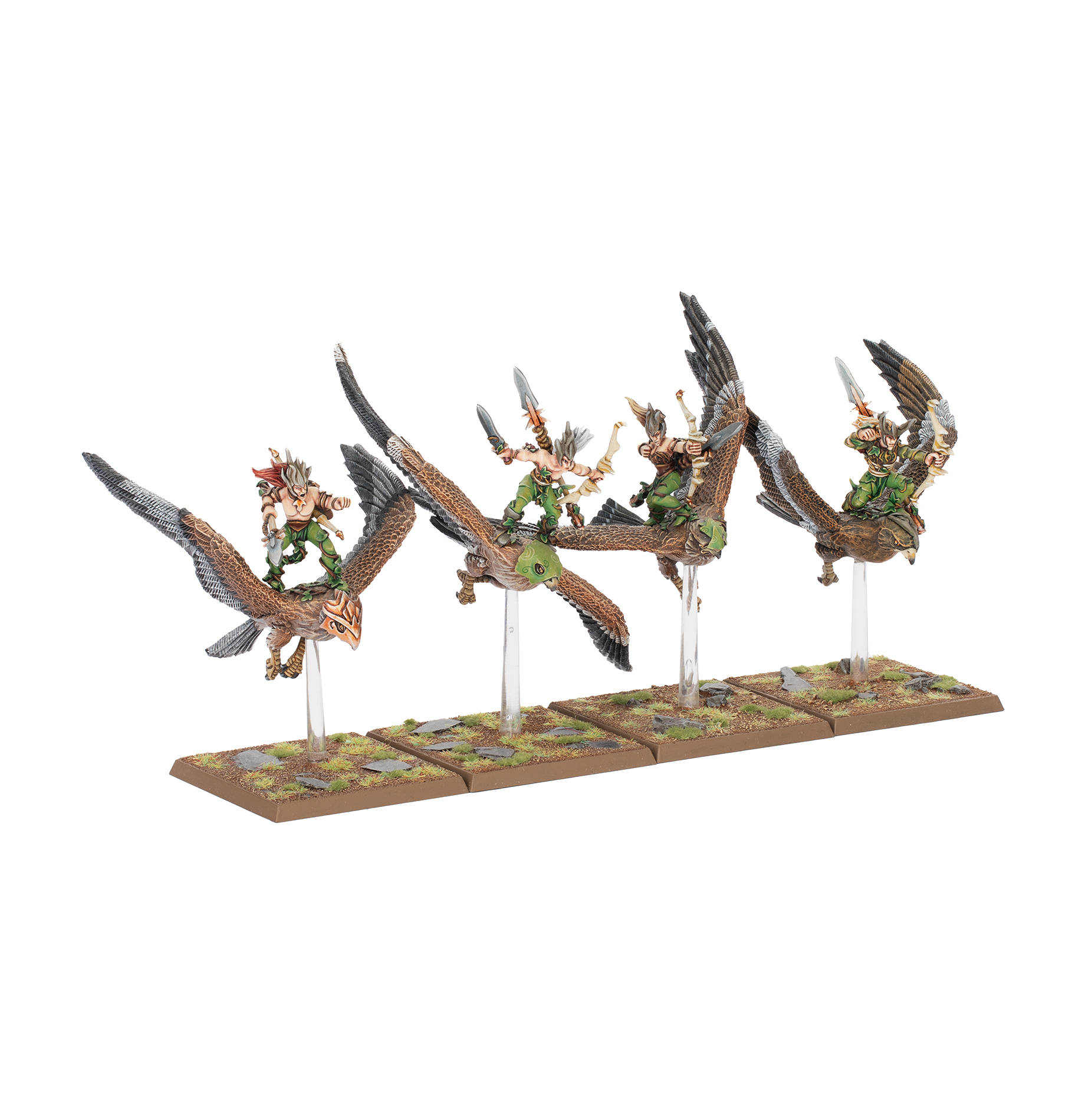 Warhawk Riders reference photo