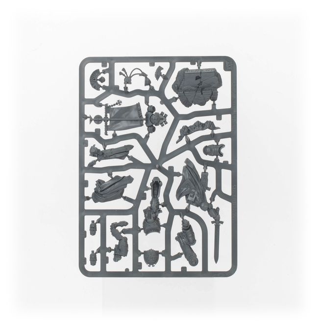 Cato Sicarius - view 6