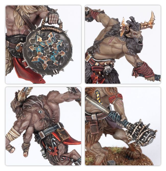 Fellgor Beastmen - view 6
