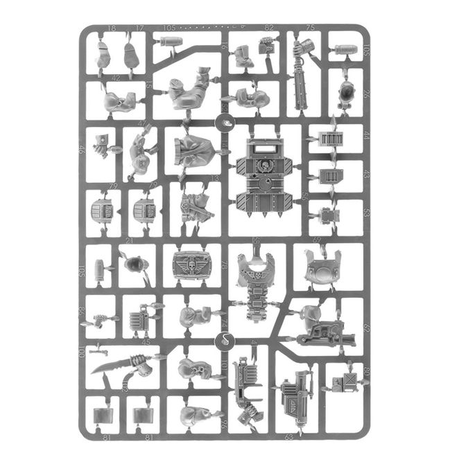 Ogryns - view 7