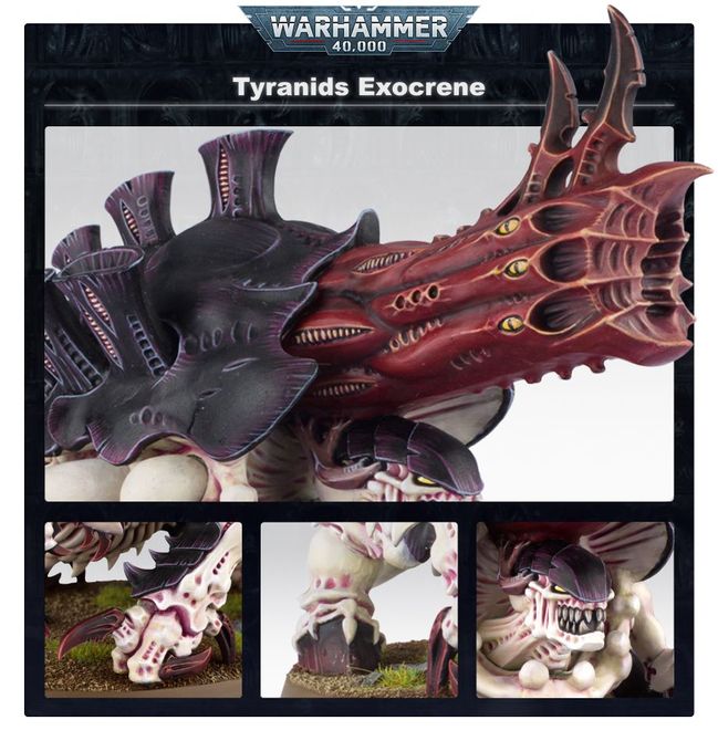 Exocrino - view 2