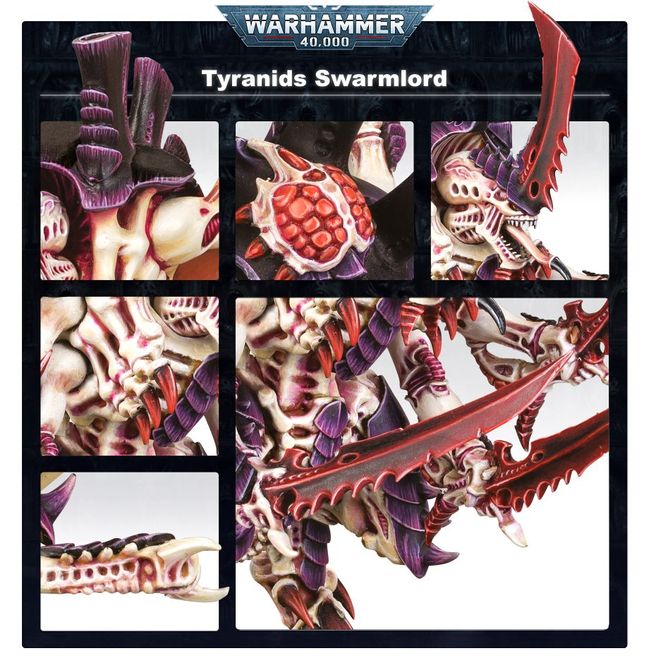The Swarmlord - view 3