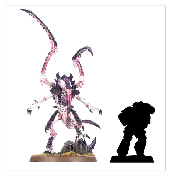 Lictor - view 7