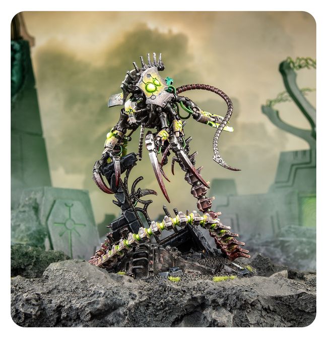 Nekrosor Ammentar - view 5
