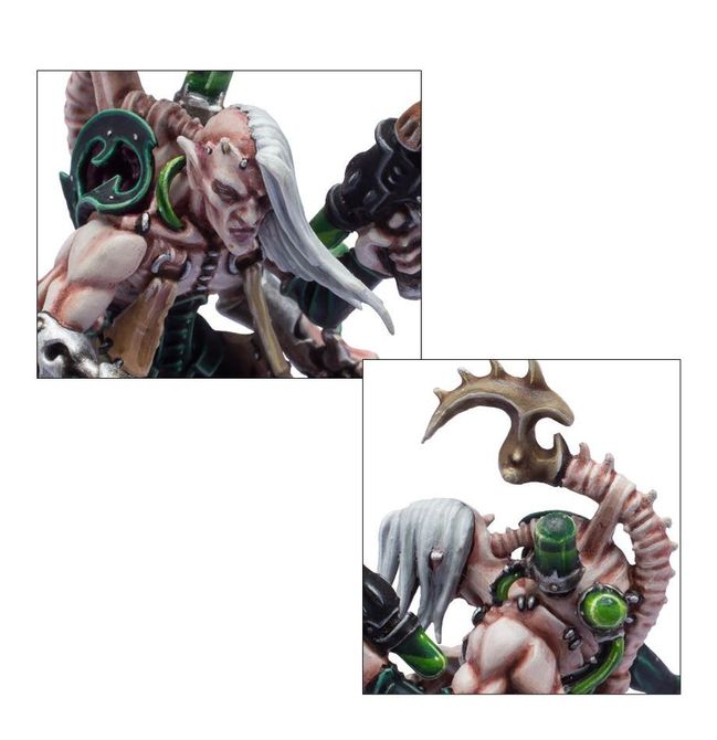 Combat Patrol: Drukhari - view 9