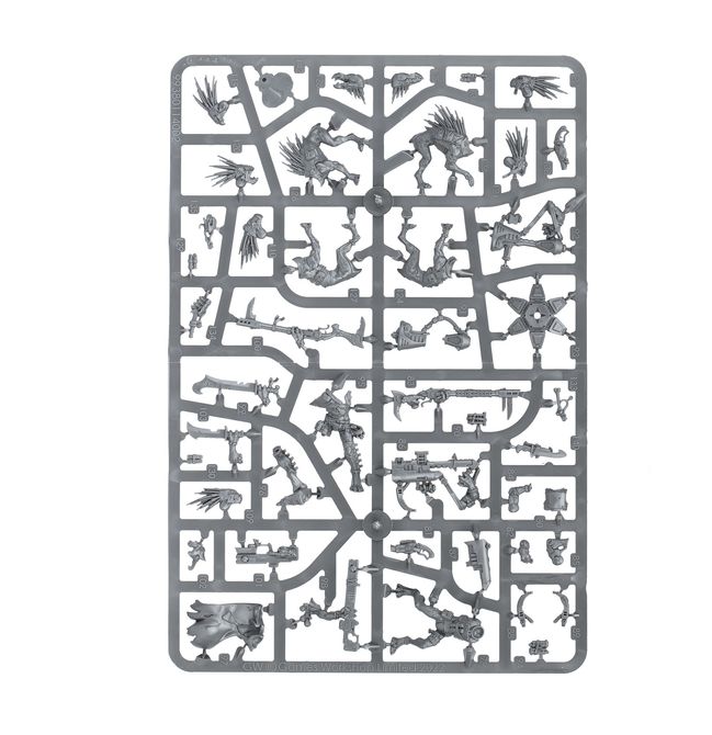 Kroot Farstalkers - view 13