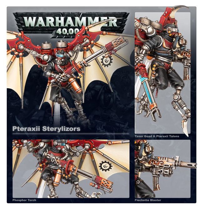 Pteraxii Sterylizors - view 2