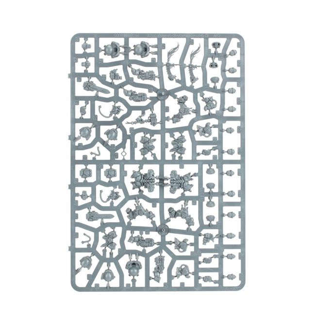 Einhyr Hearthguard - view 7
