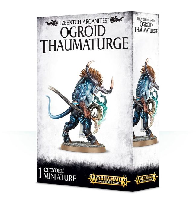 Ogroid Thaumaturge - view 6