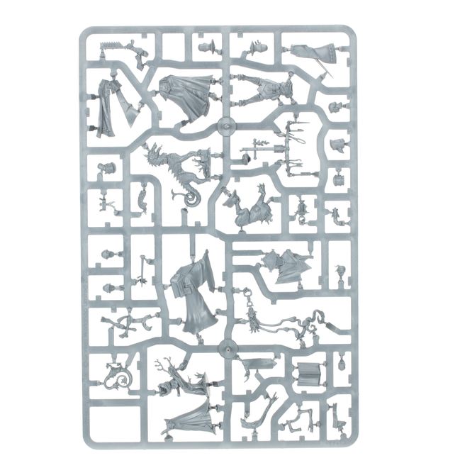 Spearhead: Cities of Sigmar – Zenestra's Zealots - view 37