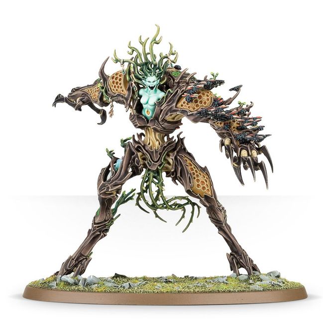 Drycha Hamadreth - view 1