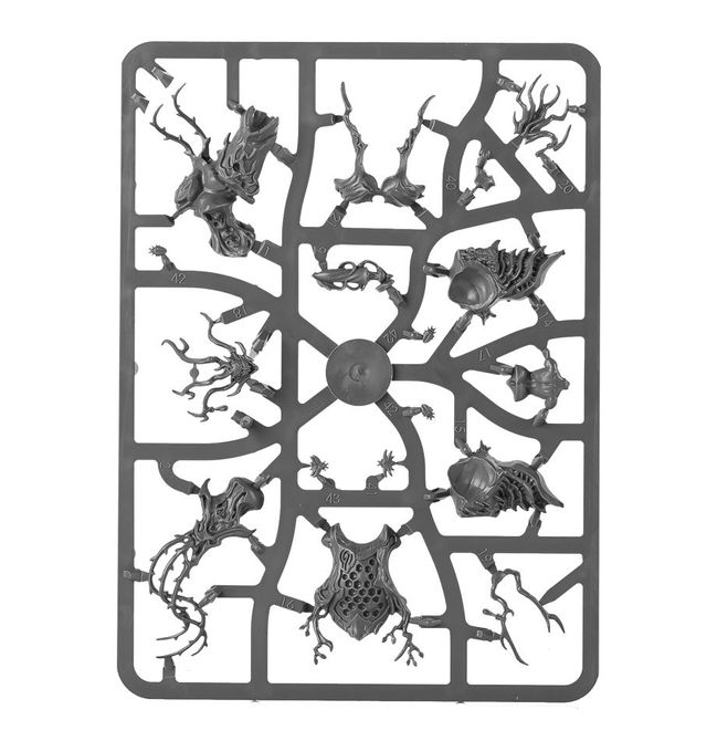 Drycha Hamadreth - view 6
