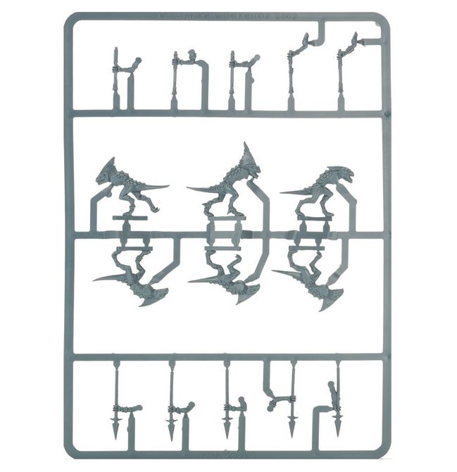 Skinks - view 5