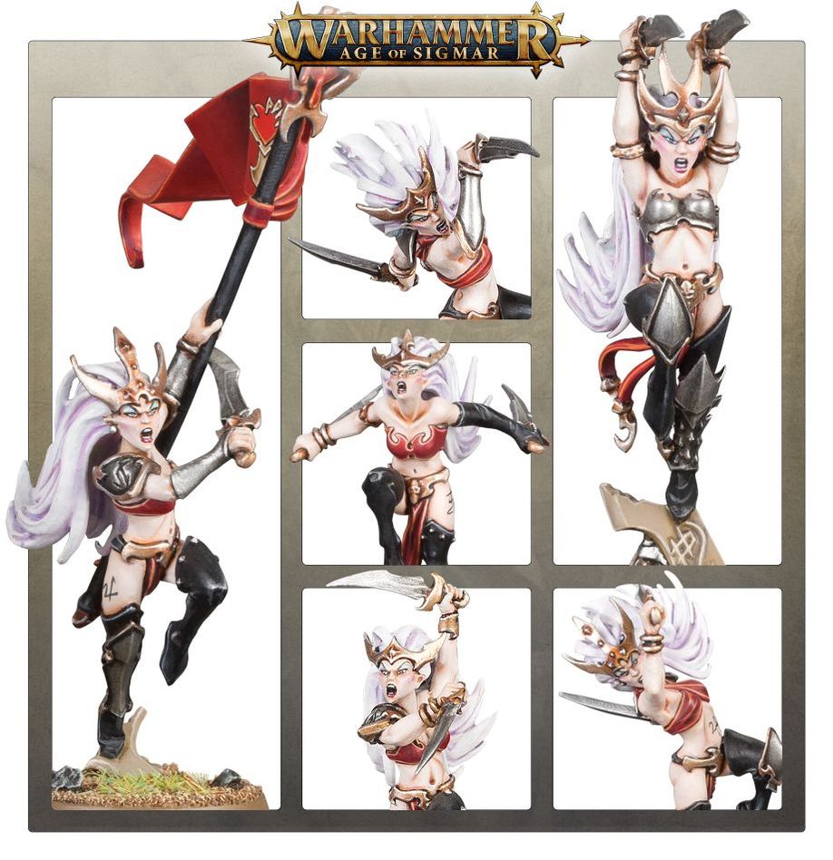 Assembled unit of Witch Aelves