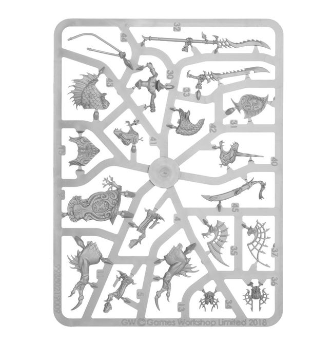 Spearhead: Idoneth Deepkin – Akhelian Tide Guard - view 23