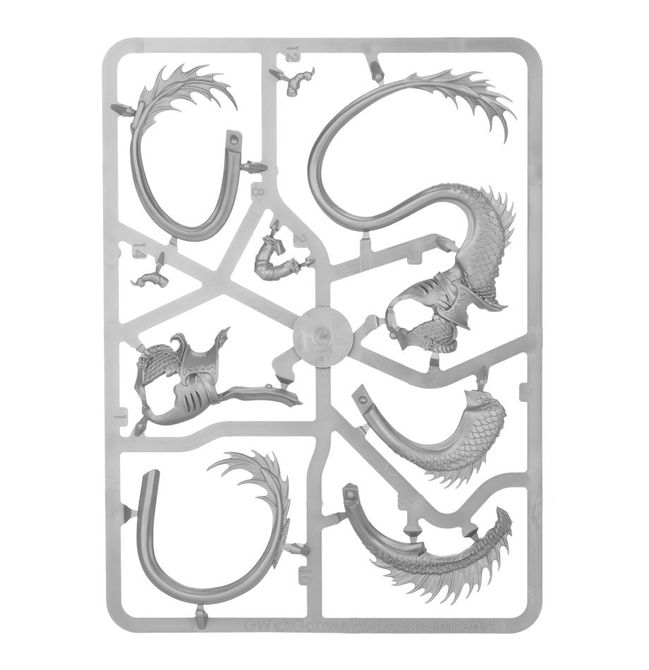 Spearhead: Idoneth Deepkin – Akhelian Tide Guard - view 24