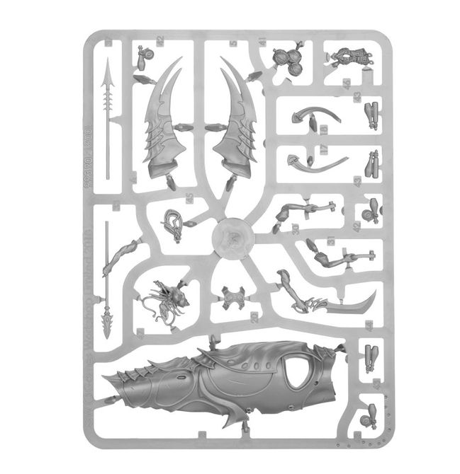 Akhelian Allopex - view 6