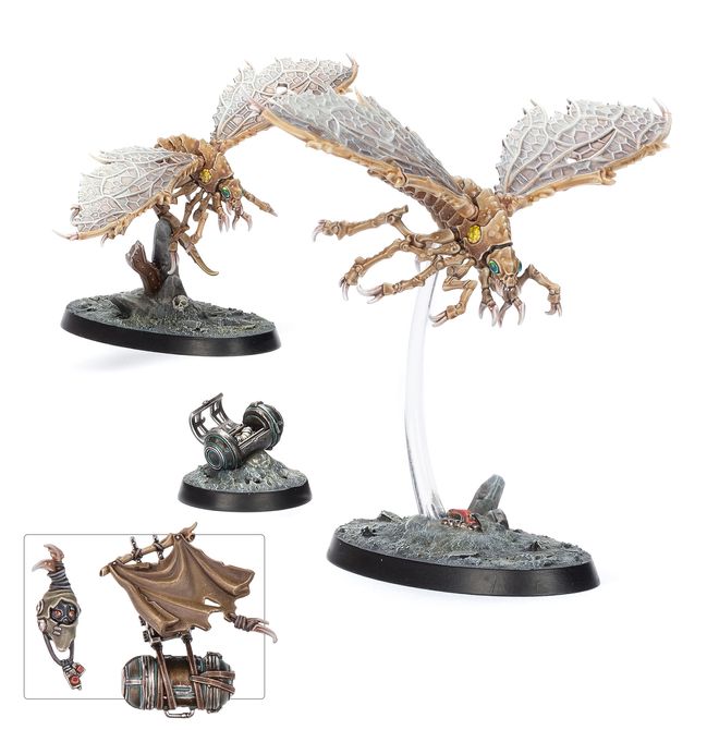 Ashwing Helamites - view 1