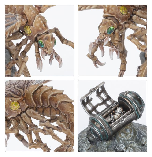 Ashwing Helamites - view 5