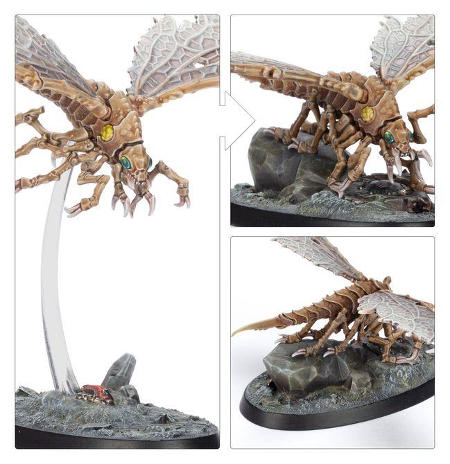 Ashwing Helamites - view 6