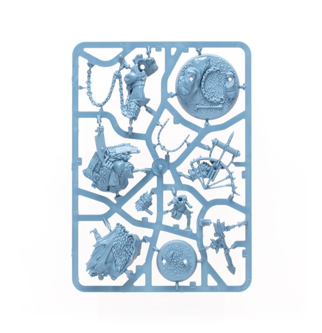 Destruction Warbands: Gitz and Goliaths - view 20