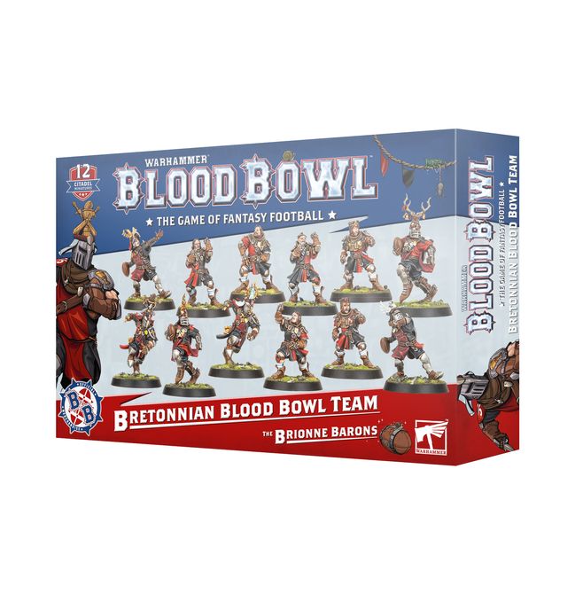 Bretonnian Blood Bowl Team: The Brionne Barons - view 13