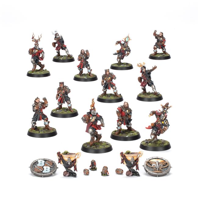 Bretonnian Blood Bowl Team: The Brionne Barons - view 1