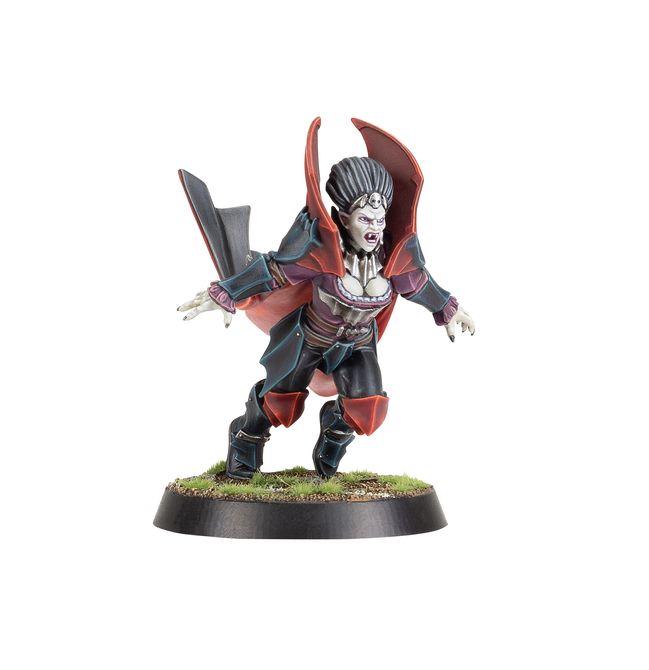 Vampire Blood Bowl Team: The Drakfang Thirsters - view 3