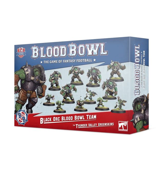 Black Orc Blood Bowl Team: The Thunder Valley Greenskins - view 11
