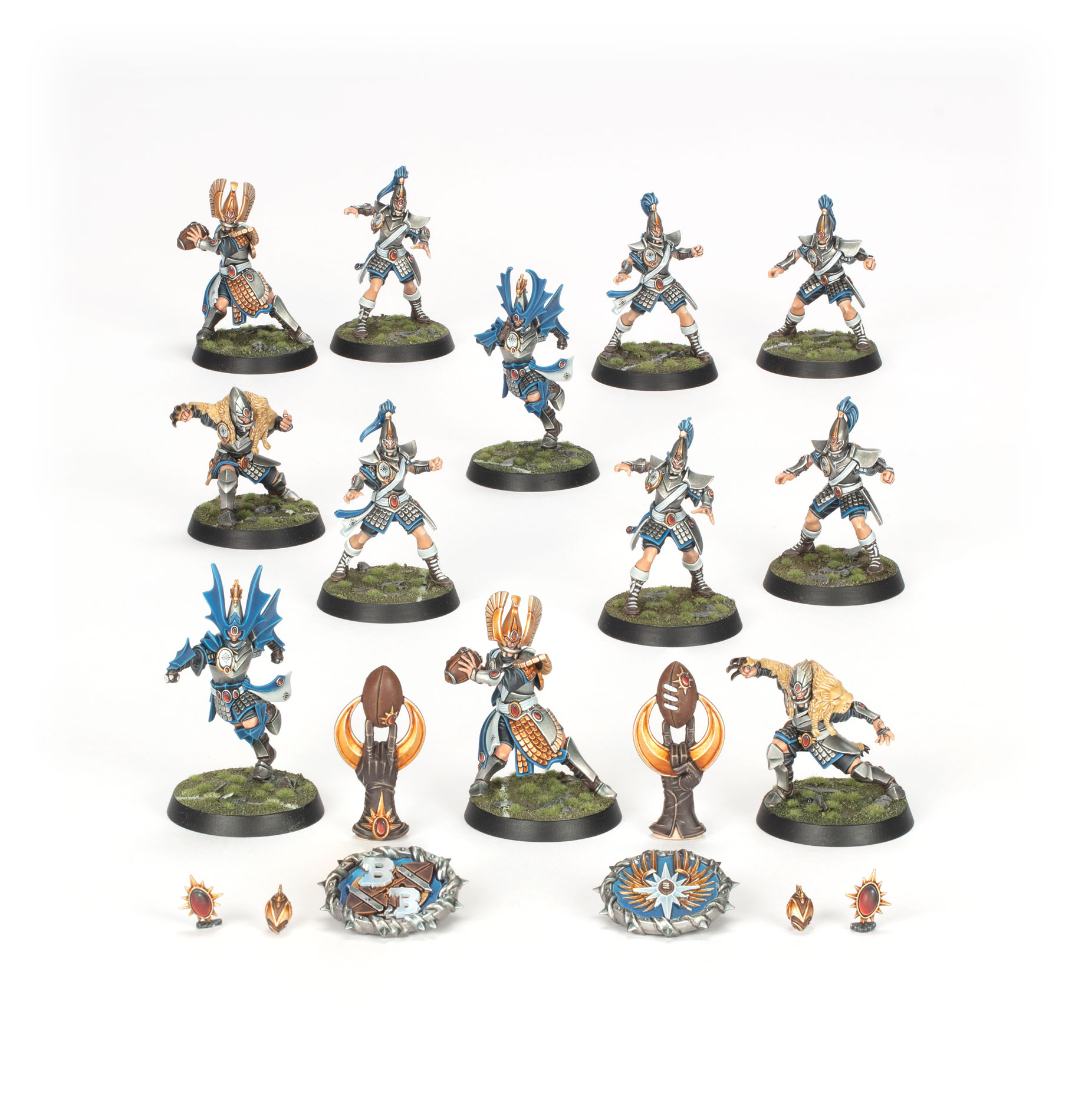 High Elf Blood Bowl Team