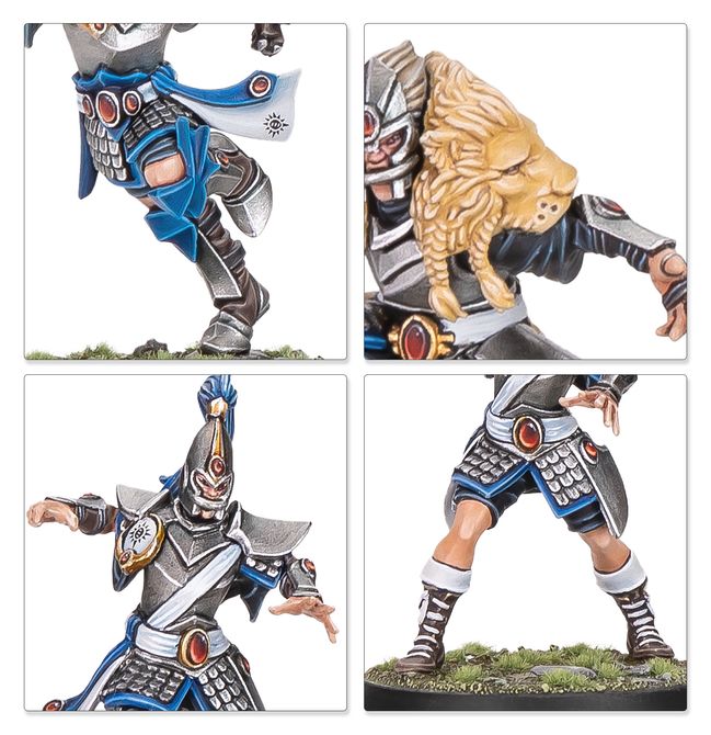 High Elf Blood Bowl Team: The Caledor Dragons - view 9