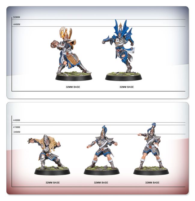 High Elf Blood Bowl Team: The Caledor Dragons - view 12