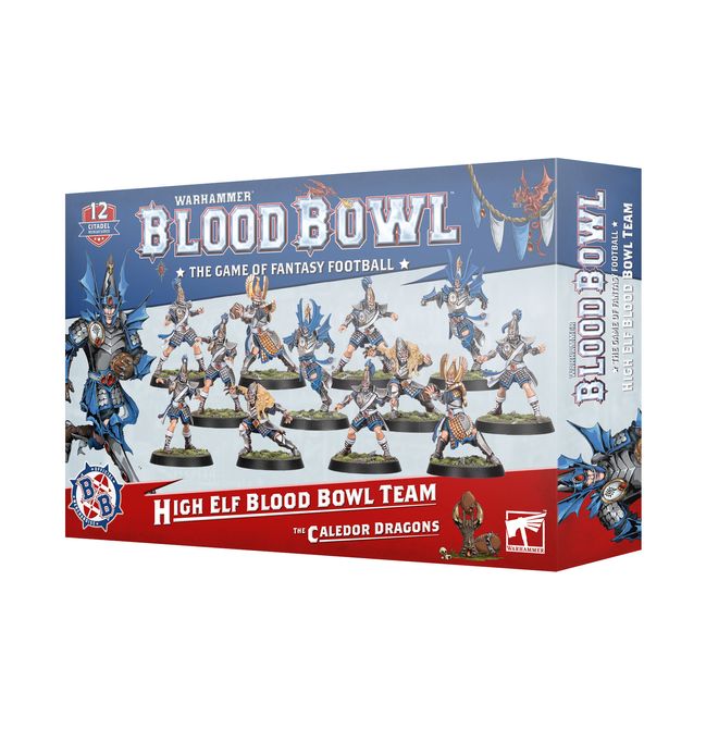High Elf Blood Bowl Team: The Caledor Dragons - view 15