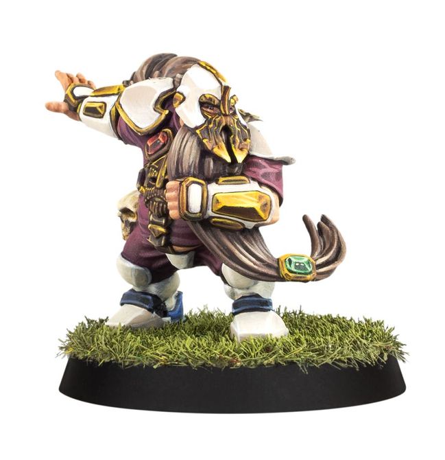 Old World Alliance Blood Bowl Team – The Middenheim Maulers - view 10