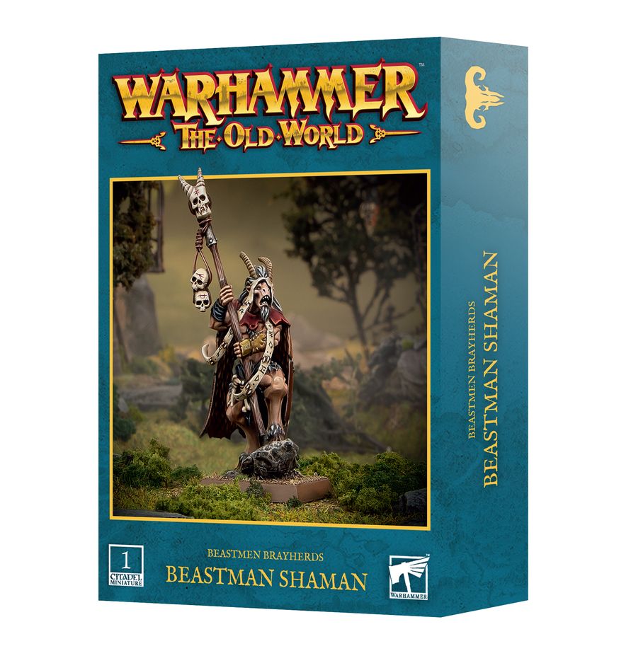 Zadní strana modelu Beastman Shaman