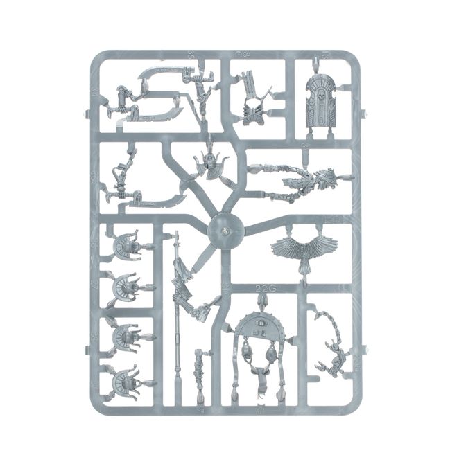 X10 Gardes Des Tombes Plastique – Warhammer Battle, Comtes Vampire, Neuf (P-00DM2)