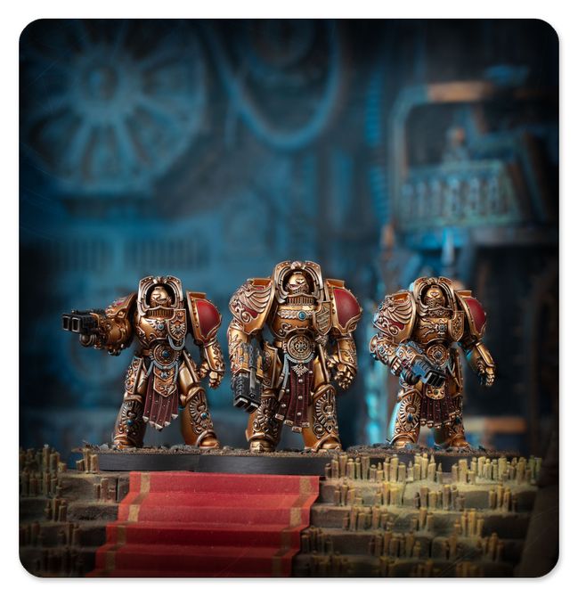 Aquilon Terminator Sodality - view 6