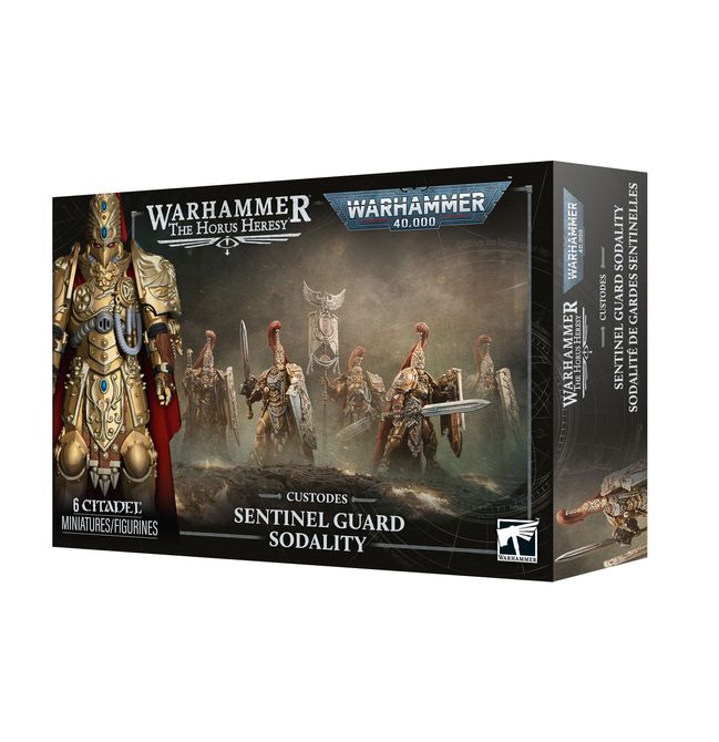 Sentinel Guard Sodality - view 11
