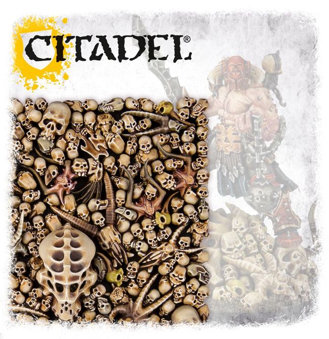 Citadel Skulls - view 1